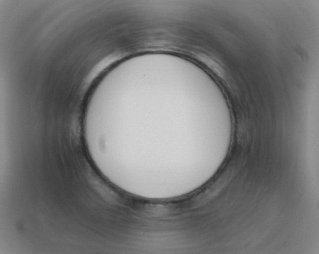 X0000113891458200910221407