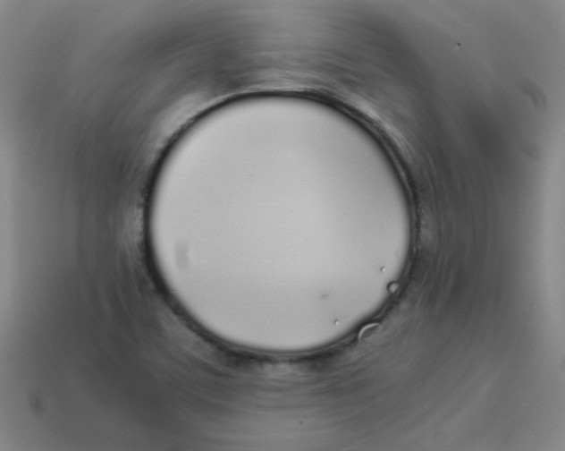 X0000113891459200910221407