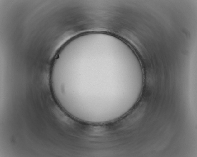 X0000113891460200910221407