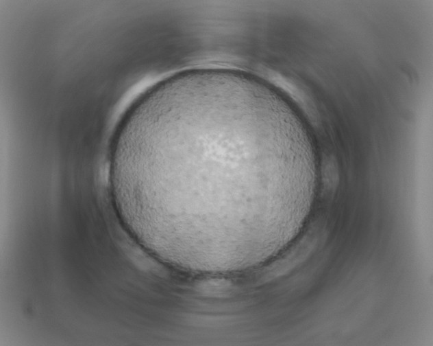 X0000113891462200910221407