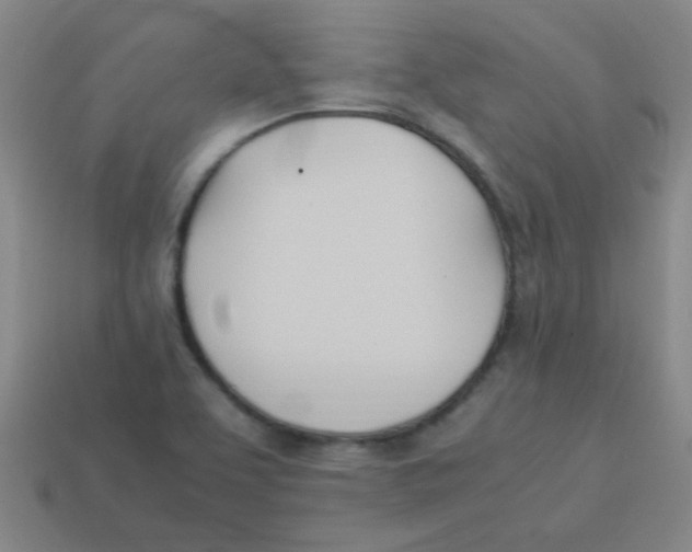 X0000113891463200910221407