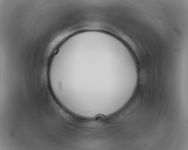 X0000113891464200910221406