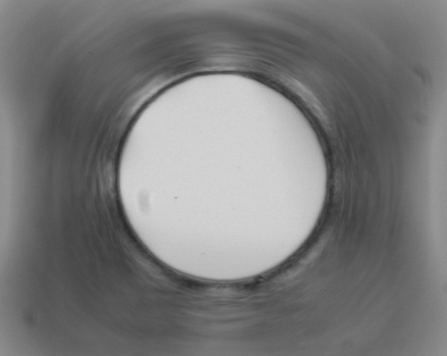 X0000113891465200910221406