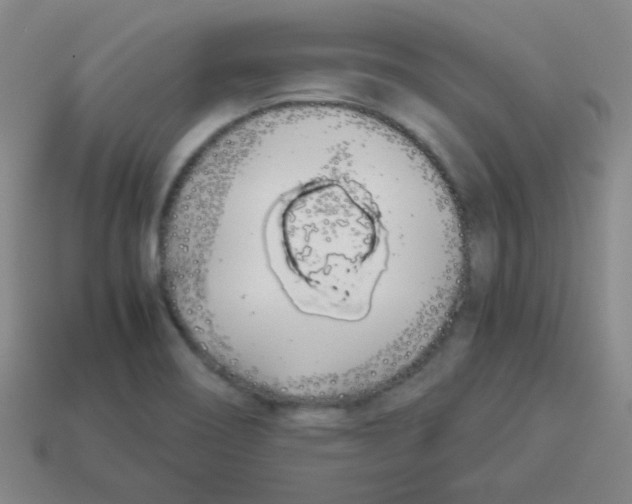 X0000113891466200910221406