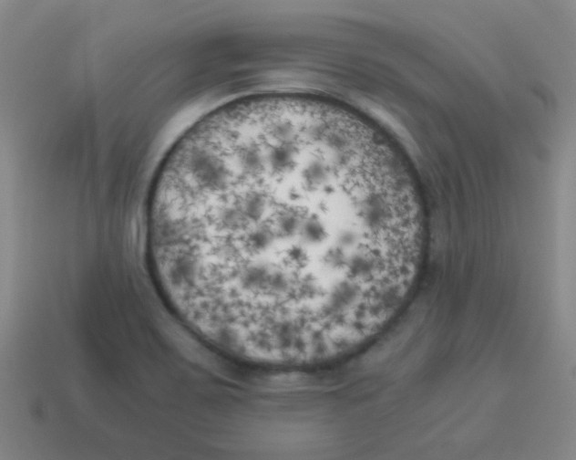 X0000113891467200910221406
