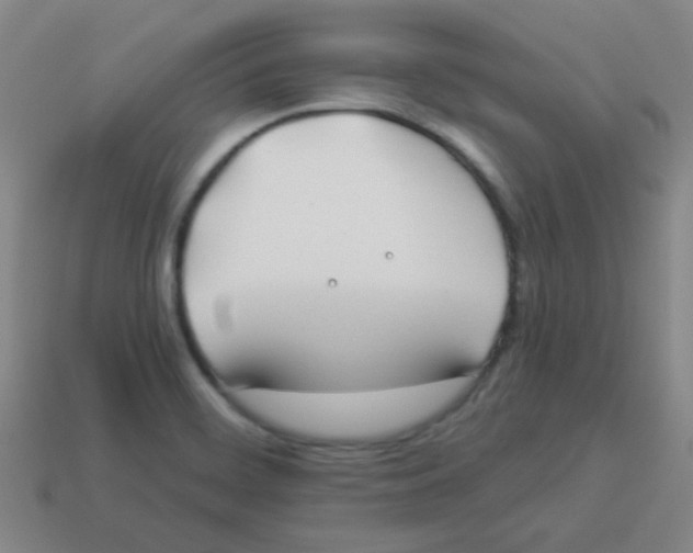 X0000113891468200910221406