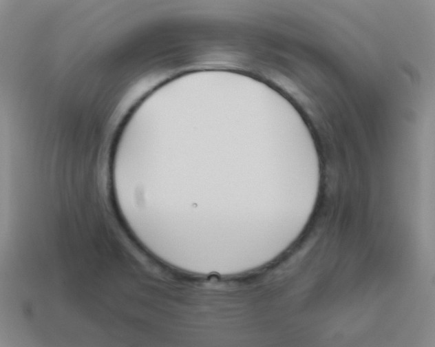 X0000113891469200910221406