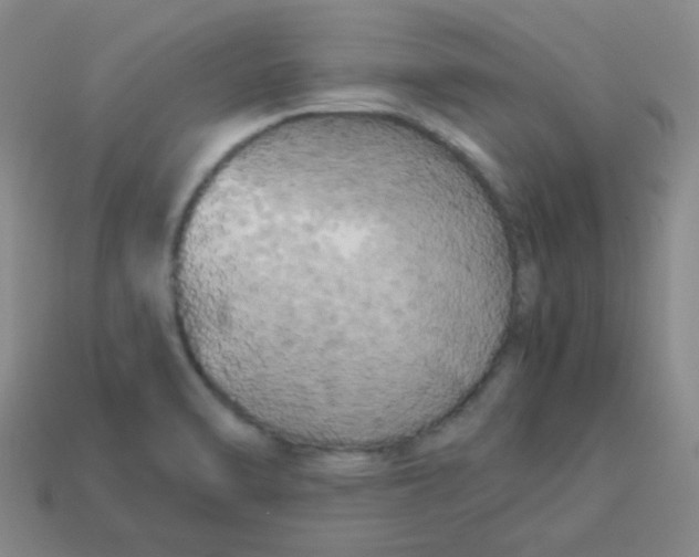 X0000113891470200910221406