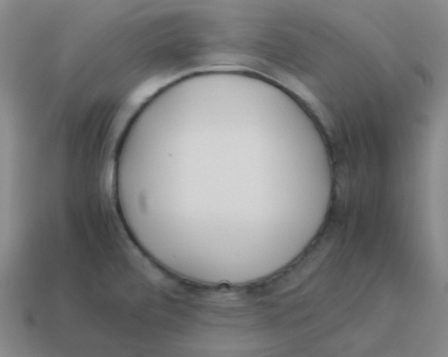 X0000113891472200910221406