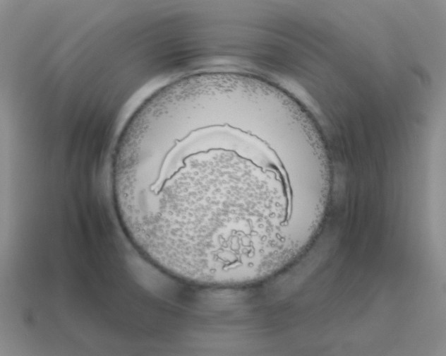 X0000113891474200910221406