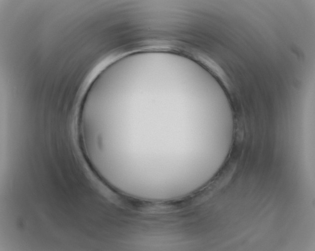 X0000113891475200910221406