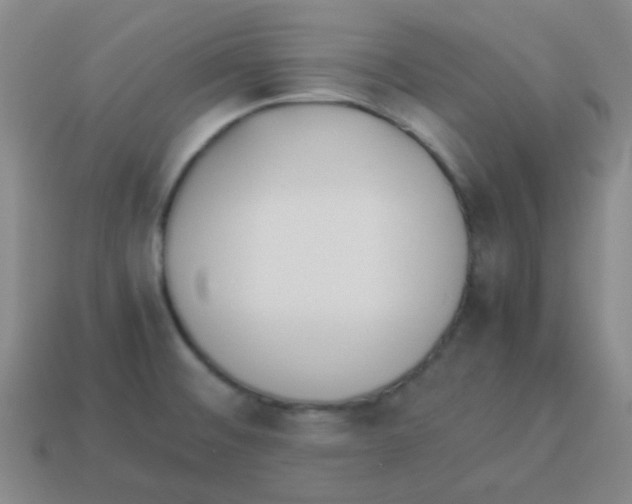 X0000113891476200910221406