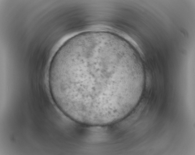 X0000113891478200910221406