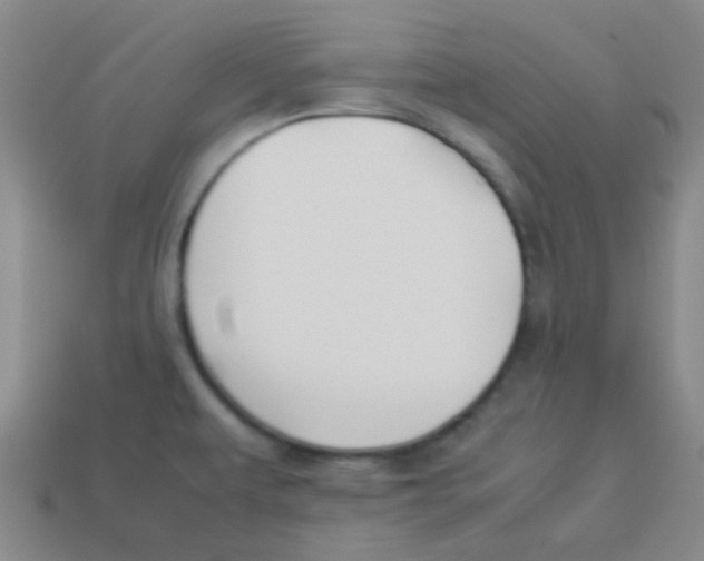 X0000113891479200910221406