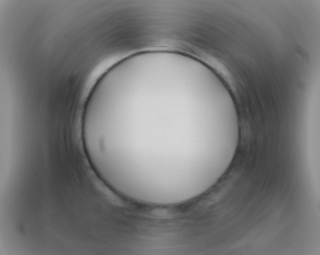 X0000113891480200910221406