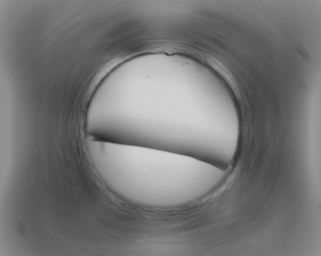X0000113891481200910221406
