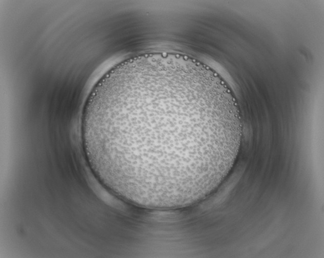 X0000113891482200910221406
