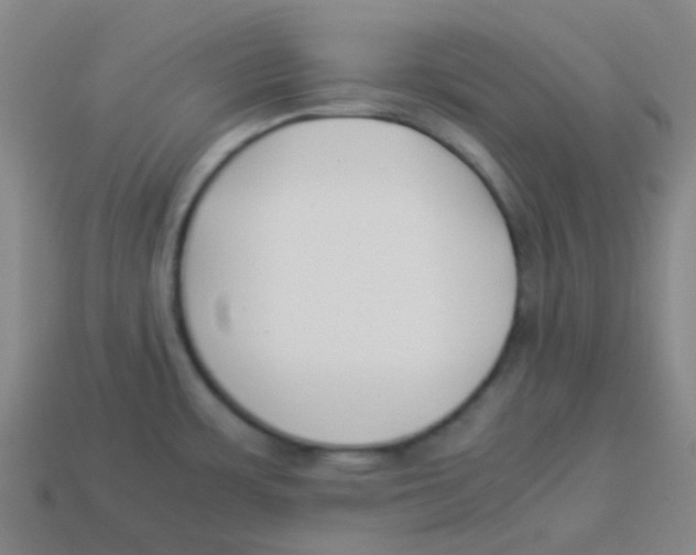 X0000113891483200910221406
