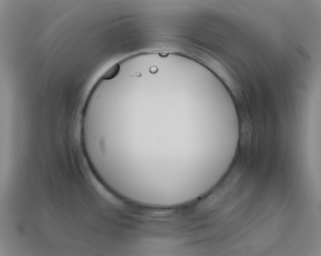 X0000113891484200910221406