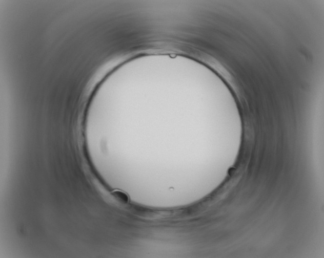 X0000113891485200910221406