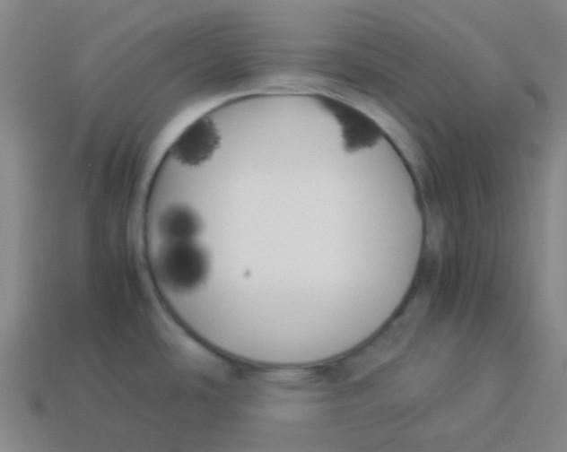 X0000113891486200910221406