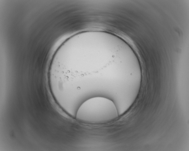 X0000113891488200910221406