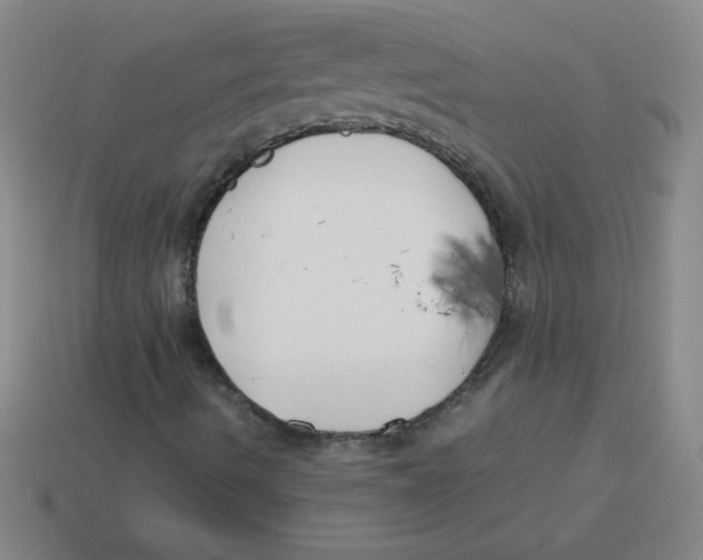 X0000113891490200910221406