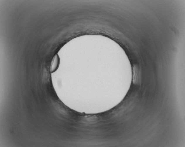 X0000113891491200910221406