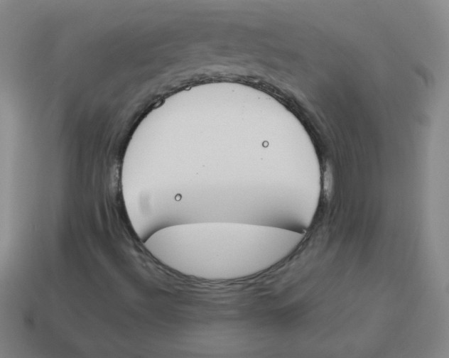 X0000113891492200910221406