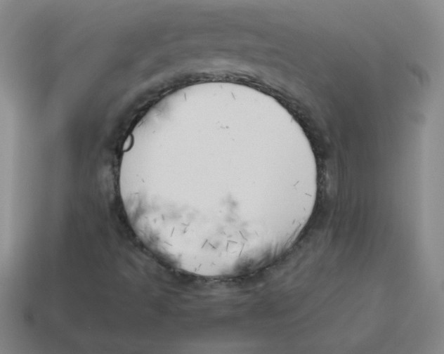 X0000113891493200910221406