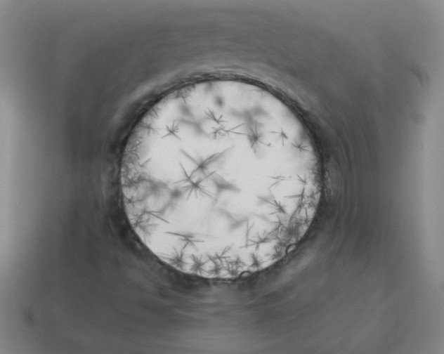 X0000113891494200910221406