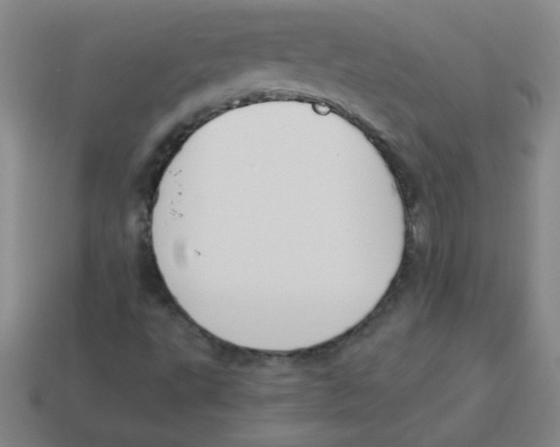 X0000113891495200910221406