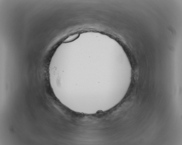 X0000113891496200910221406