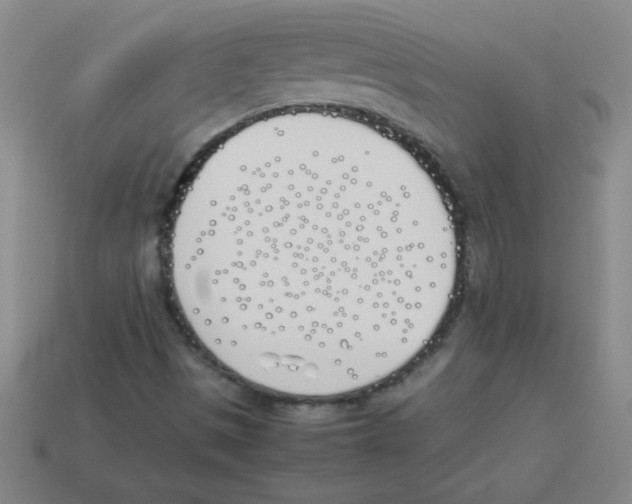 X0000113891497200910221406