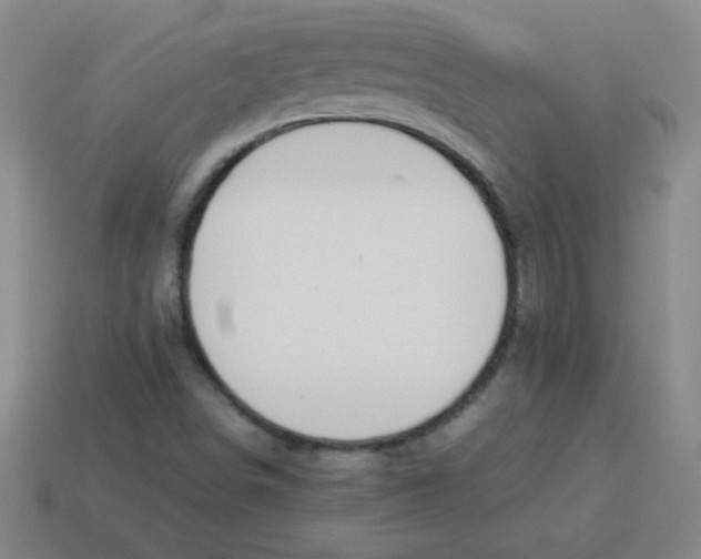 X0000113891498200910221406