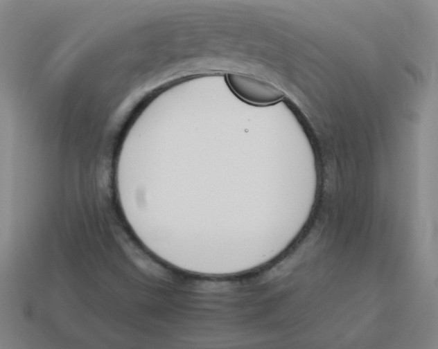X0000113891499200910221406