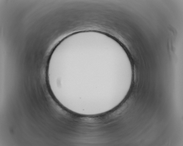 X0000113891500200910221406