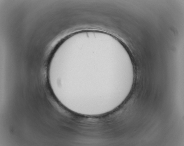 X0000113891503200910221406