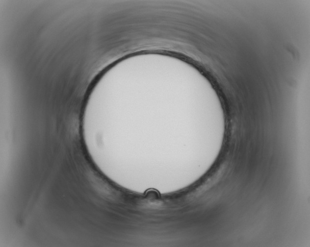 X0000113891505200910221406