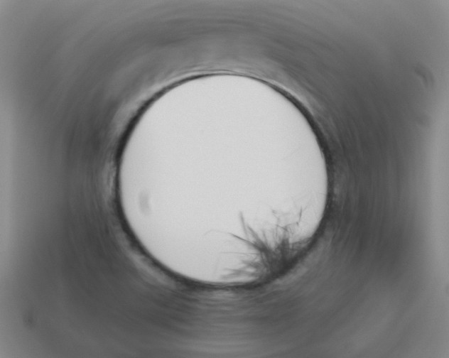 X0000113891507200910221406