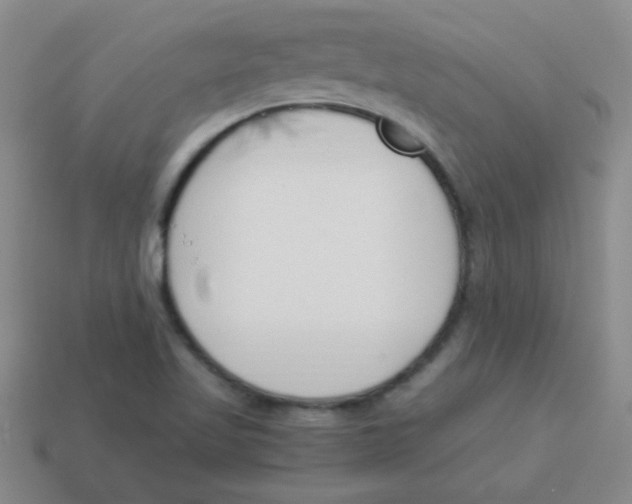 X0000113891509200910221406