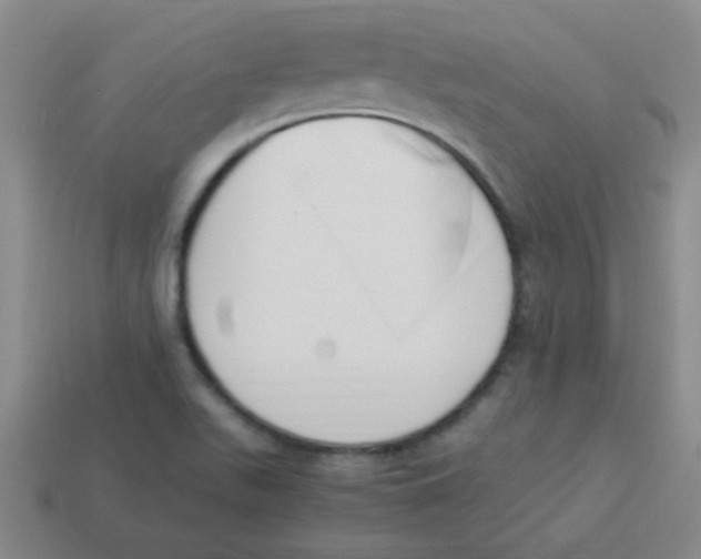 X0000113891511200910221406