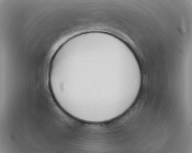 X0000113891512200910221406