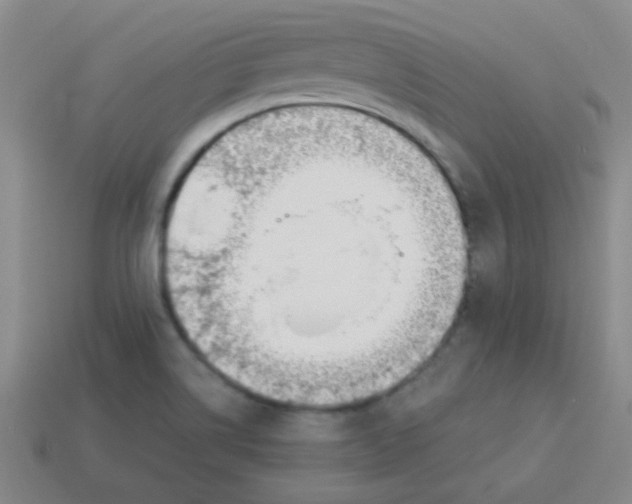 X0000113891514200910221406