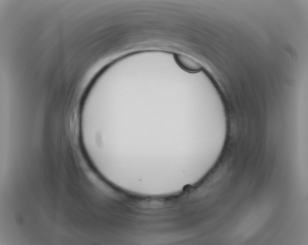X0000113891515200910221406