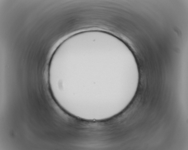 X0000113891516200910221406