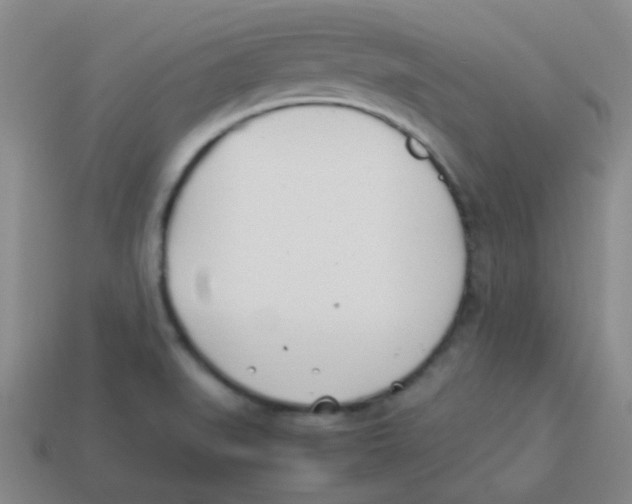 X0000113891519200910221406
