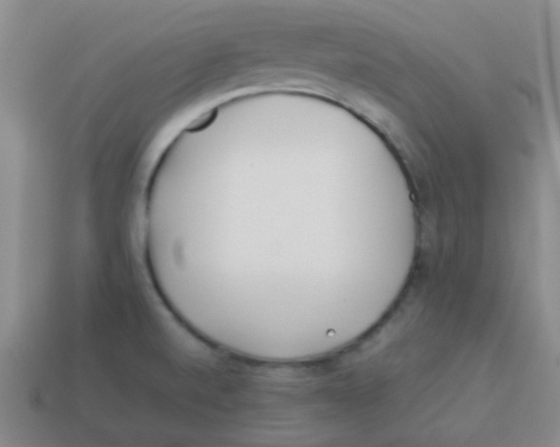 X0000113891520200910221406