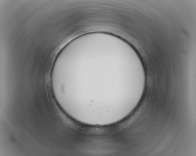X0000113891521200910221406