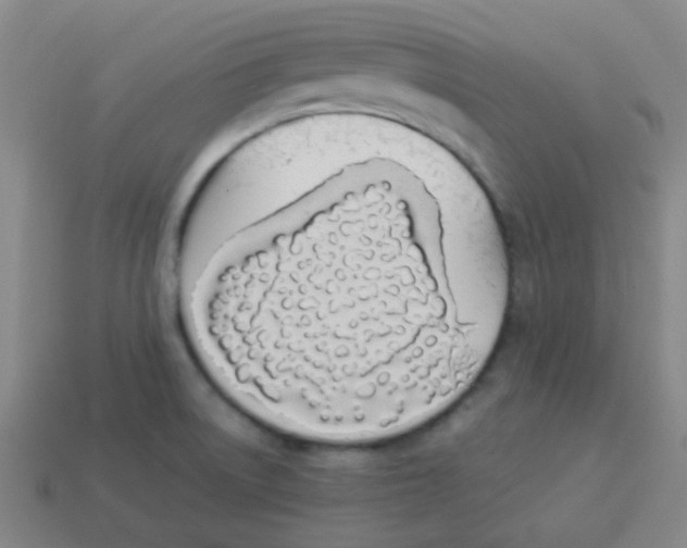X0000113891522200910221406
